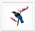 Tui in the Harakeke