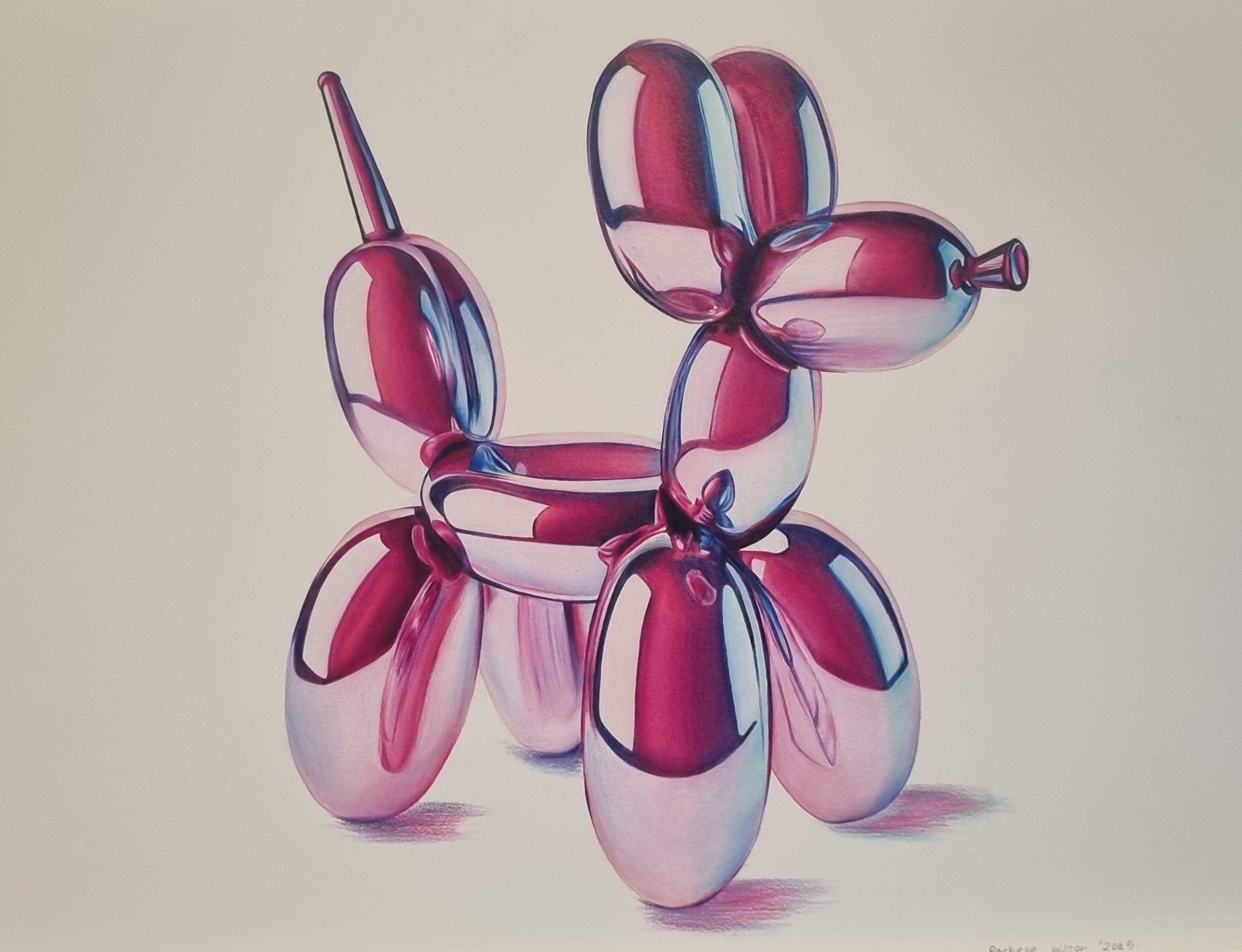 Reflections- Pink Puppy A4 Print